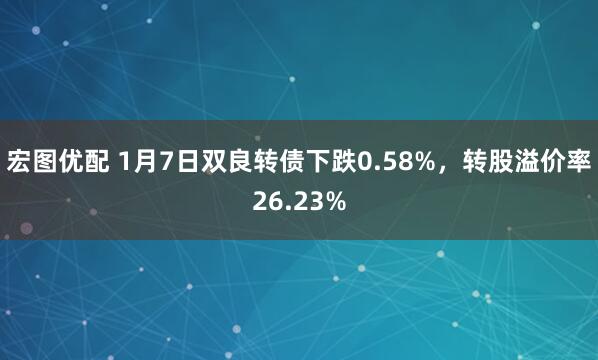 宏图优配 1月7日双良转债下跌0.58%，转股溢价率26.23%