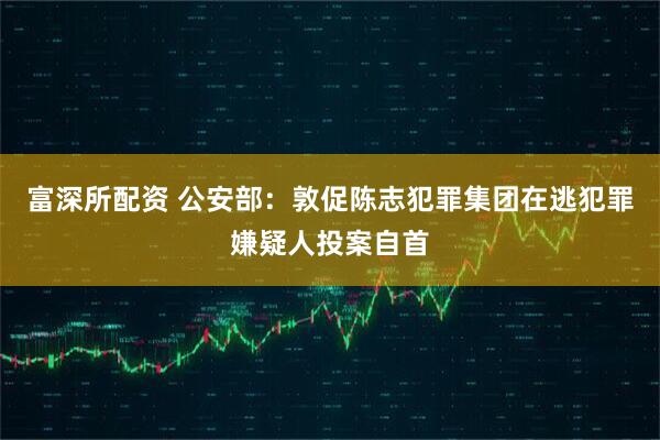 富深所配资 公安部：敦促陈志犯罪集团在逃犯罪嫌疑人投案自首