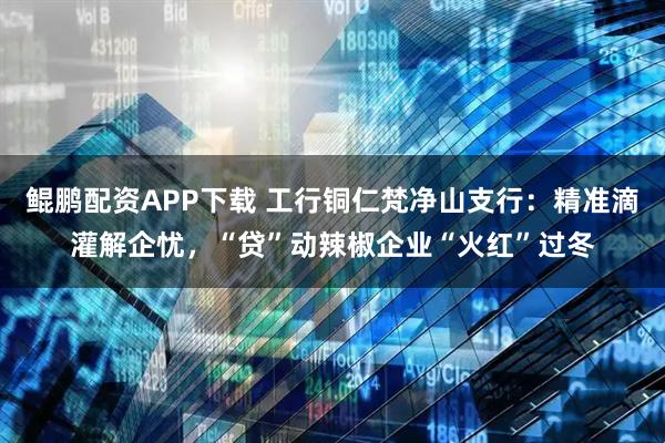 鲲鹏配资APP下载 工行铜仁梵净山支行：精准滴灌解企忧，“贷”动辣椒企业“火红”过冬